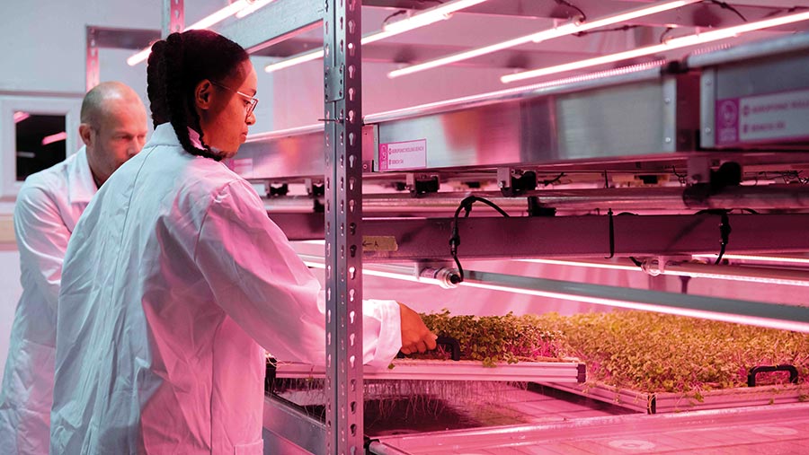 Vertical farm with white-coated technicians