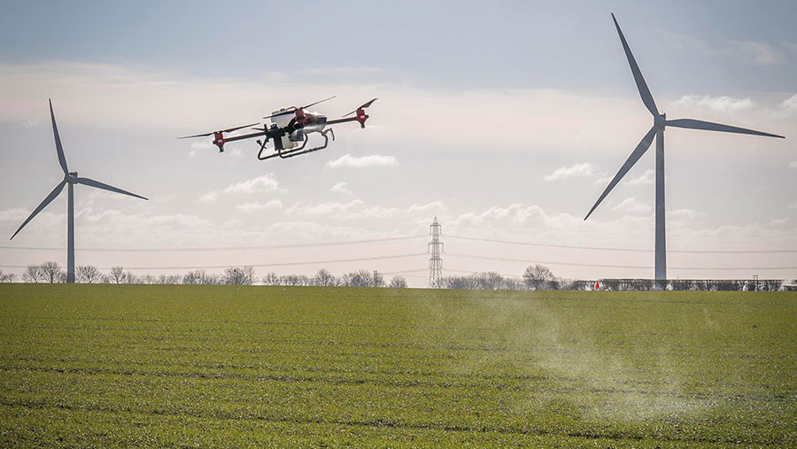 Drone spraying winter wheat