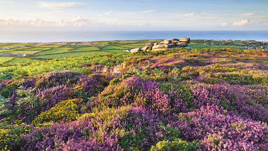 Penwith Moors © Helen Dixon/Alamy Stock Photo