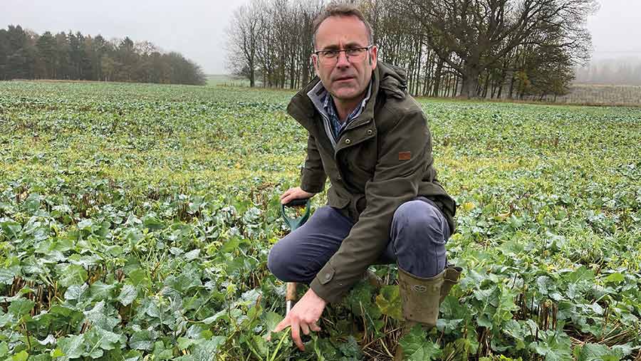 Phil Vickers inspecting his oilseed rape crop © Adam Clarke