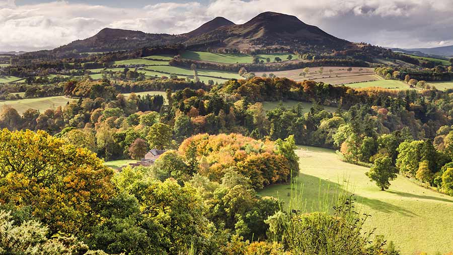 Scottish countryside