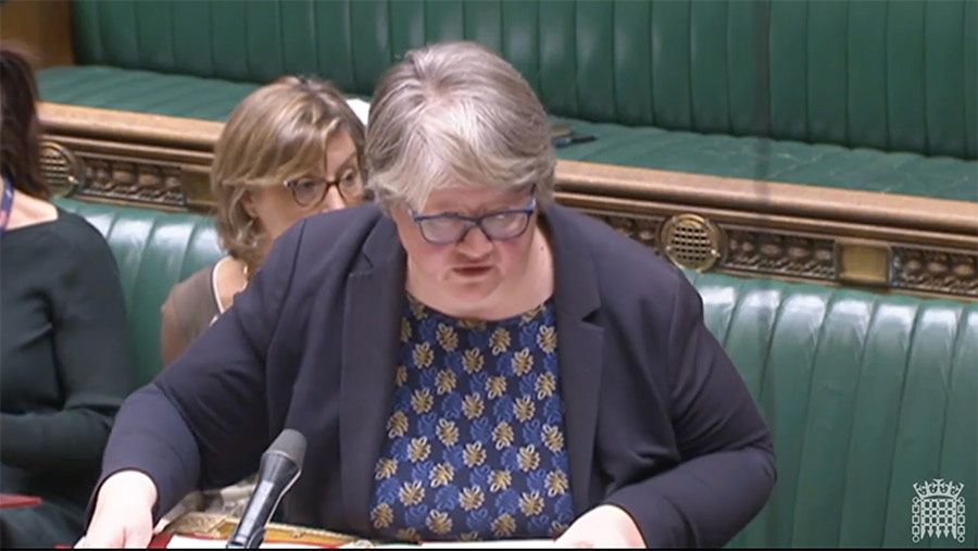 Therese Coffey during Defra questions in the Commons © parliamentlive.tv