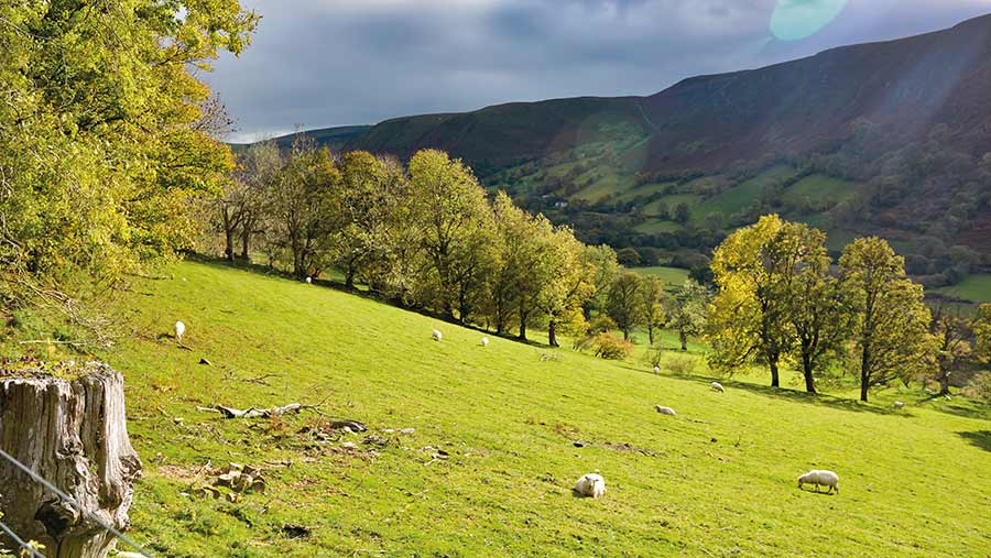 Welsh landscape