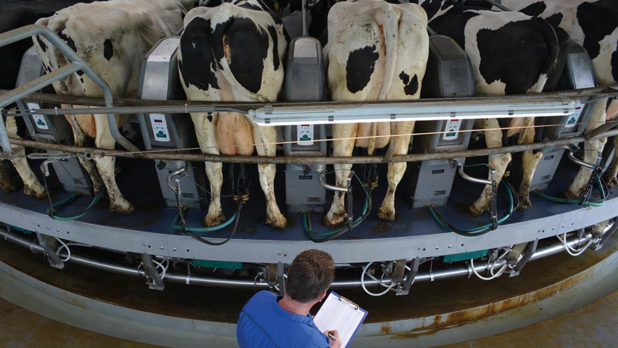 What dairy farmers can Dutch 'nitrogen crisis' - Farmers Weekly