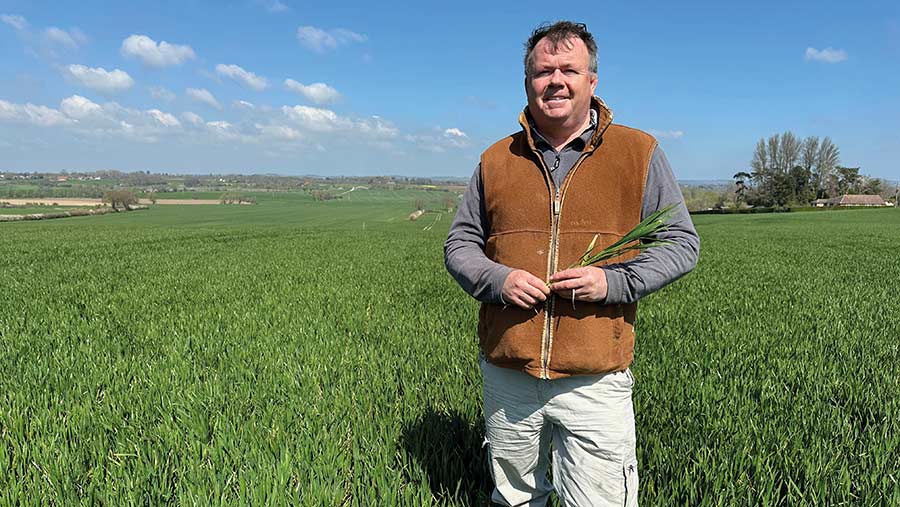 Doug Wanstall standing in wheat field