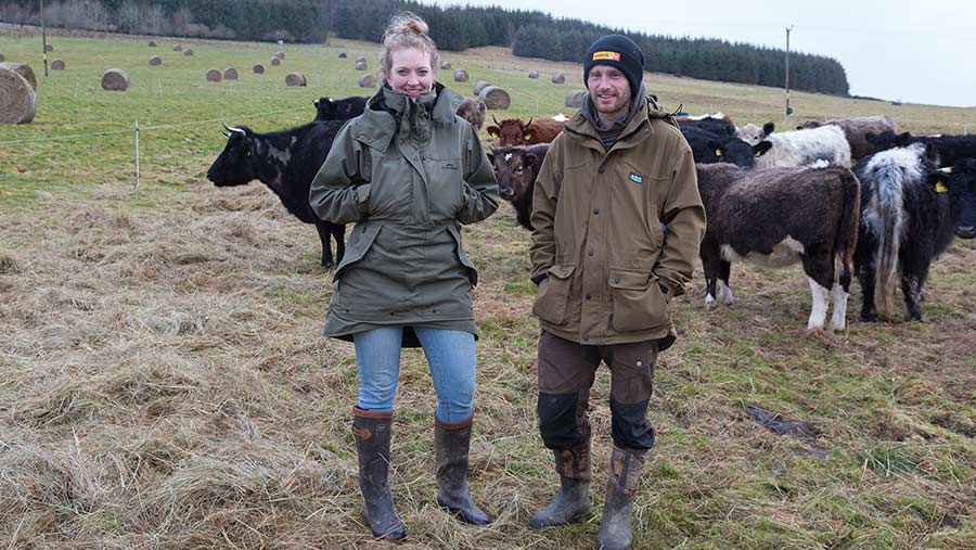 Couple in a field with cattle