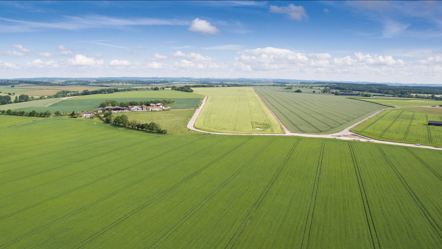 view of farmland