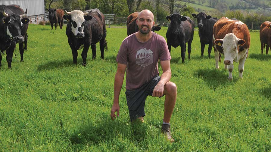 Farmer Aled Evans with cattle