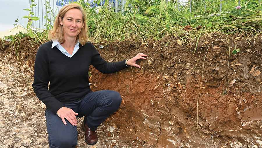 Belinda Bailey demonstrates  the green cover for soil enhancement