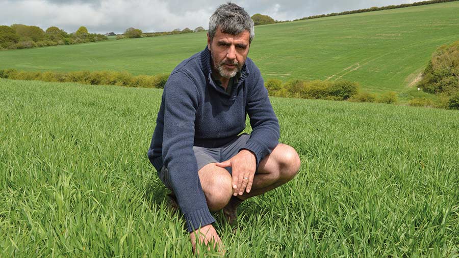 Farmer Ben Taylor in field of spring barley
