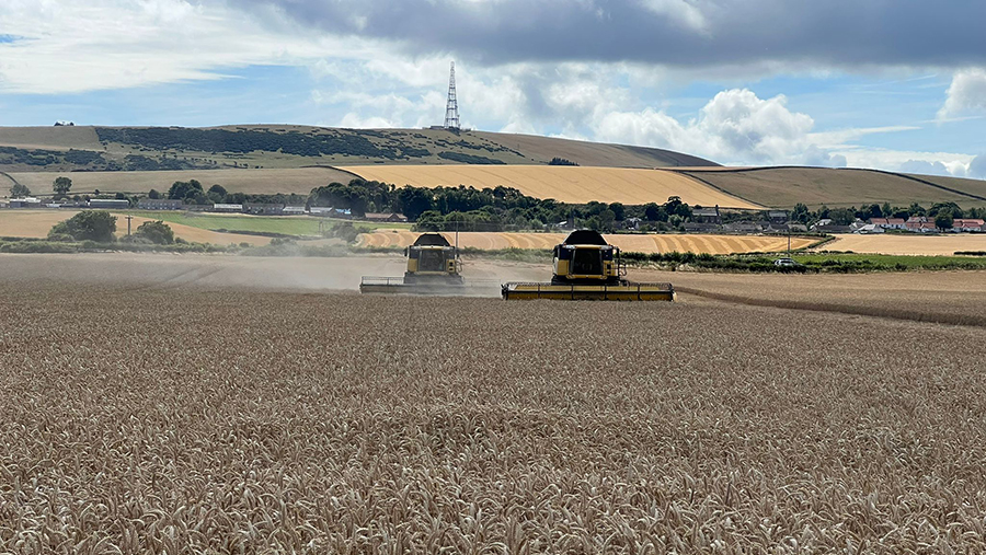 Combine harvesters in a field