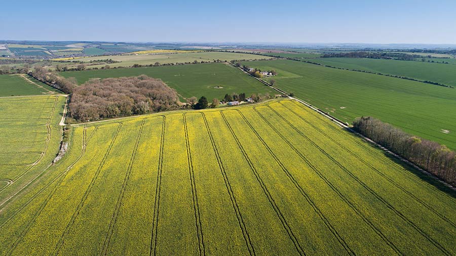 Croucheston Down Farm