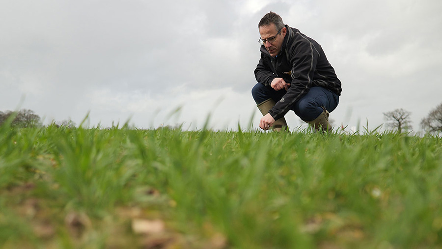 Edward Downing Investigating greener fertilisers © Frontier