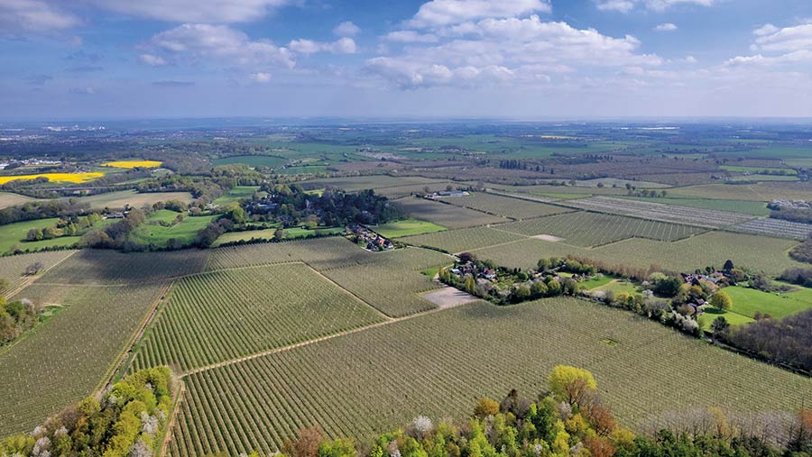 Aerial view of the fields at Milstead Manor Farm