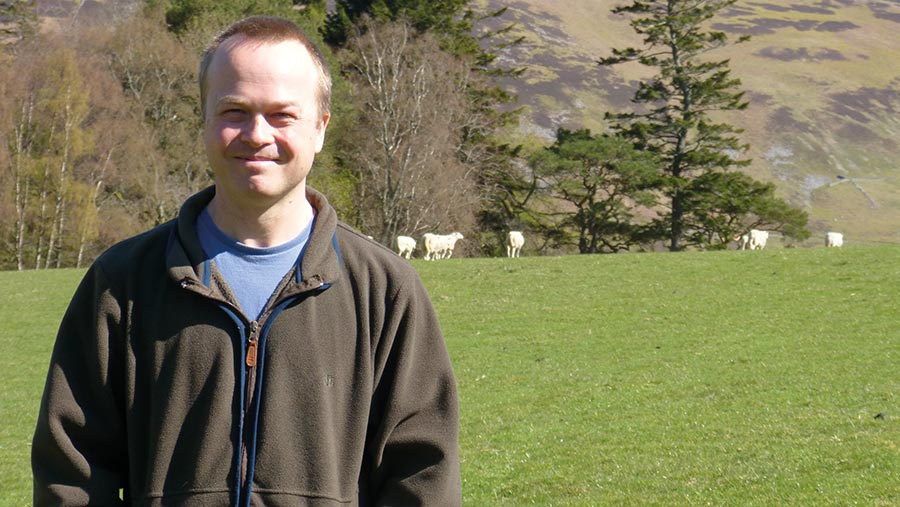 Man stands in a field