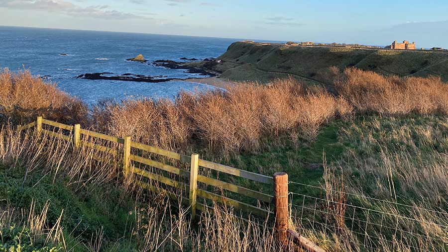 Coastal view of Castleton Farm from Drift cafe