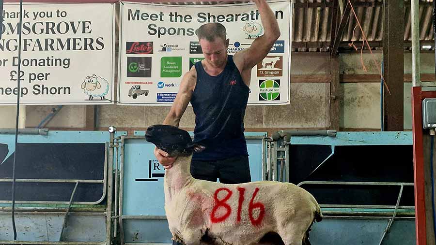 Michael McPherson sheared 816 sheep in 24 hours © Michael McPherson