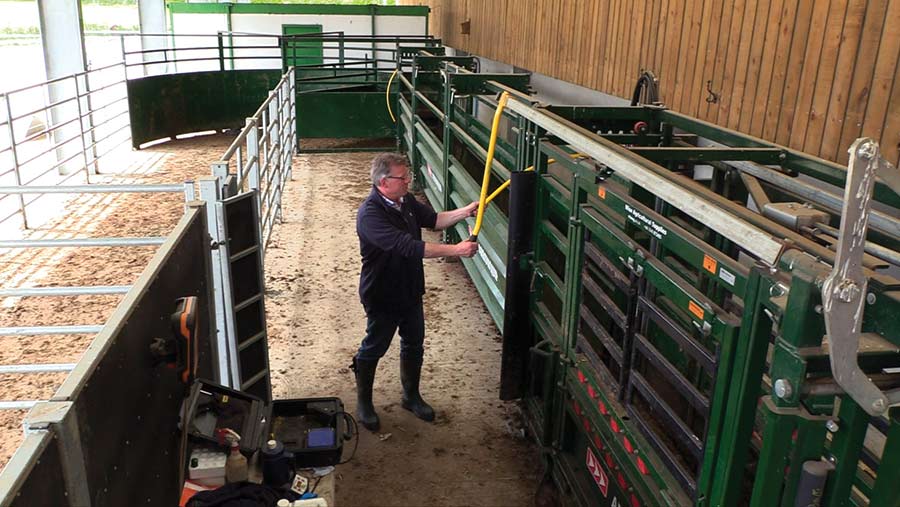 Curved handling system in shed