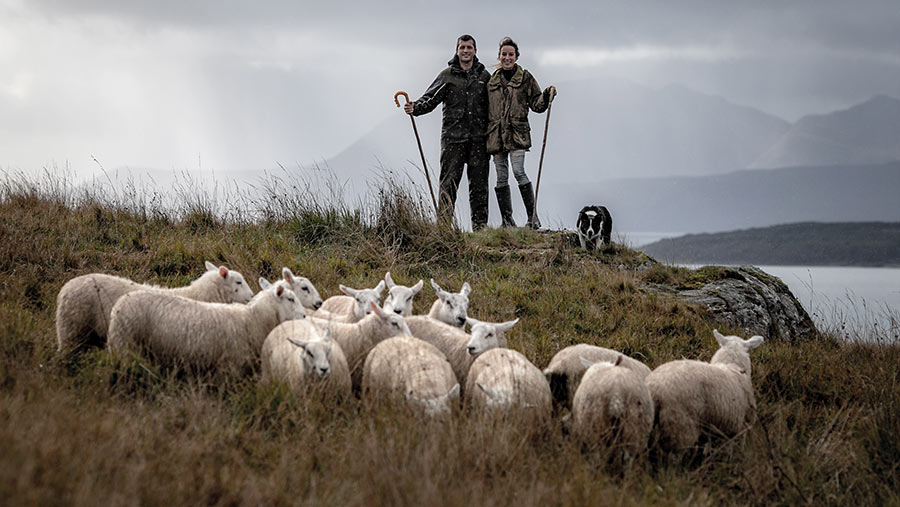 Sheep store and sheepdog