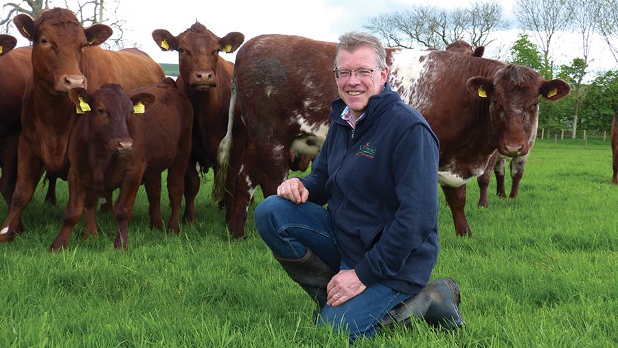 Farmer with cows