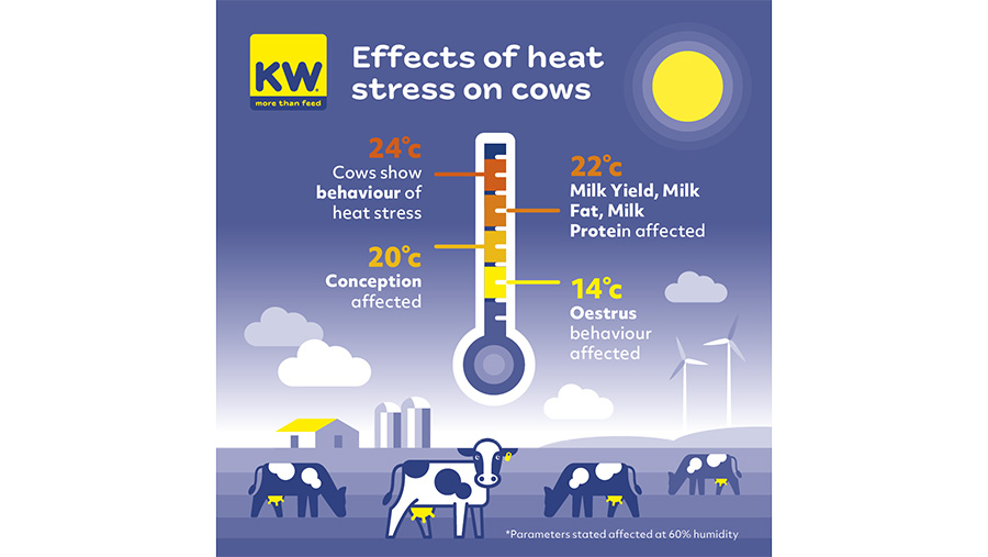 Graphic showing the effects of heat stress on cows