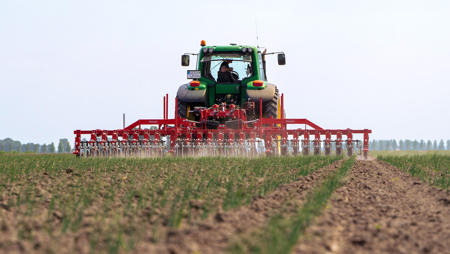 Lemken Steketee EC Weeder hoe