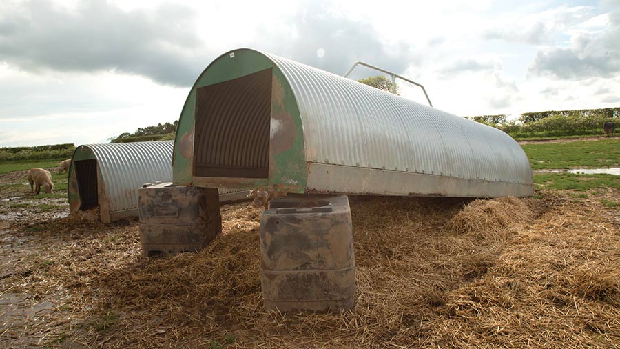 Raised pig housing