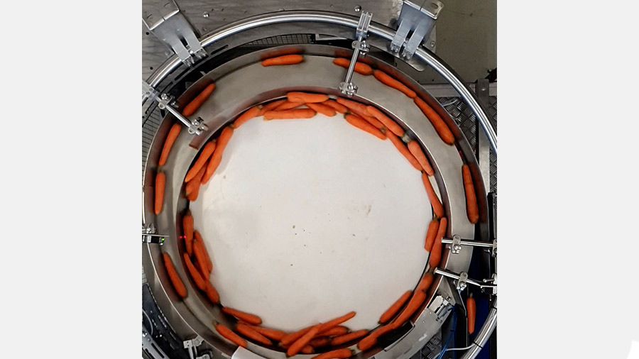 The new rotary in-feed system seen from above singles carrots ready for inspection