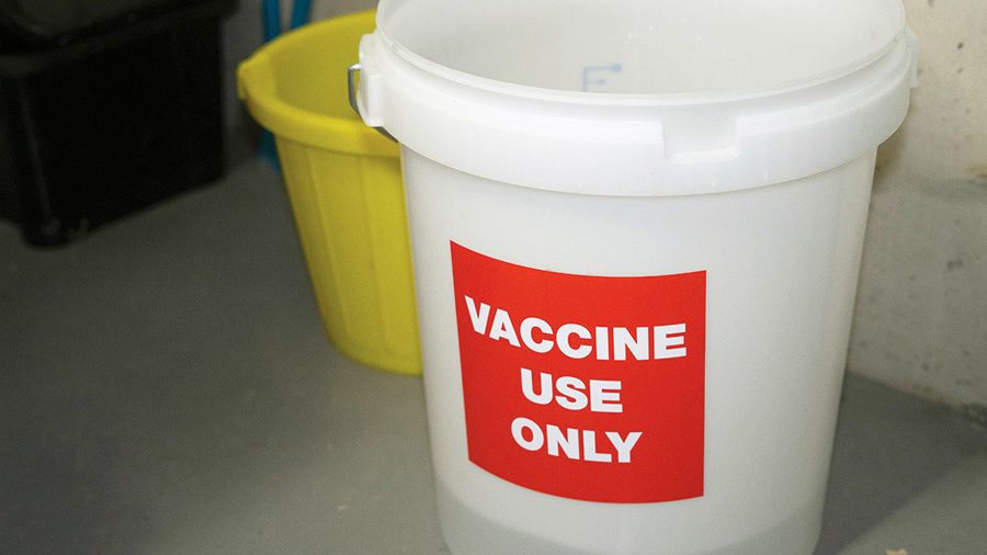 Use dedicated equipment for vaccination, and ensure it is clearly labelled