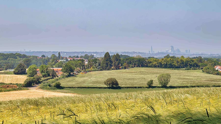 Wickham Court Farm © BTF Partnership