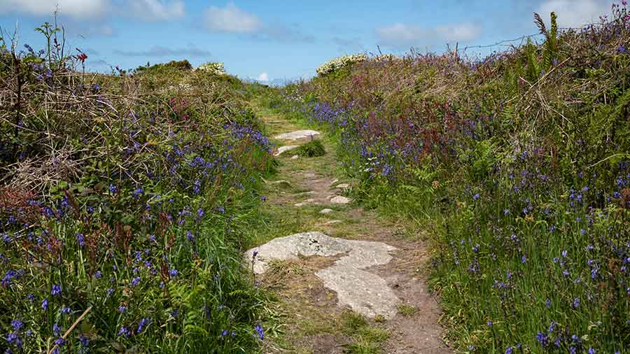 The Penwith peninsula © Jürgen Bochynek/Adobe Stock