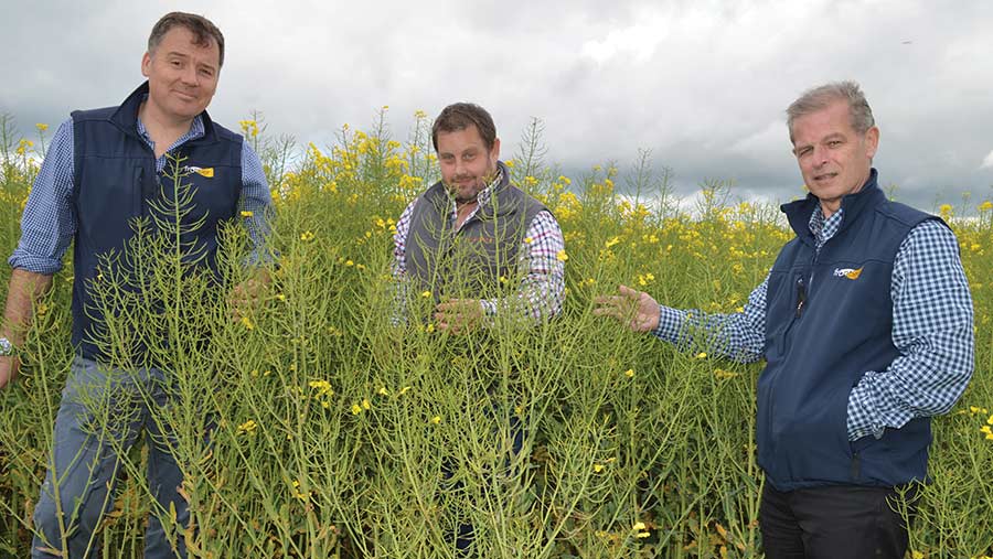 Three men in an OSR field