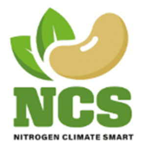 NCS company logo