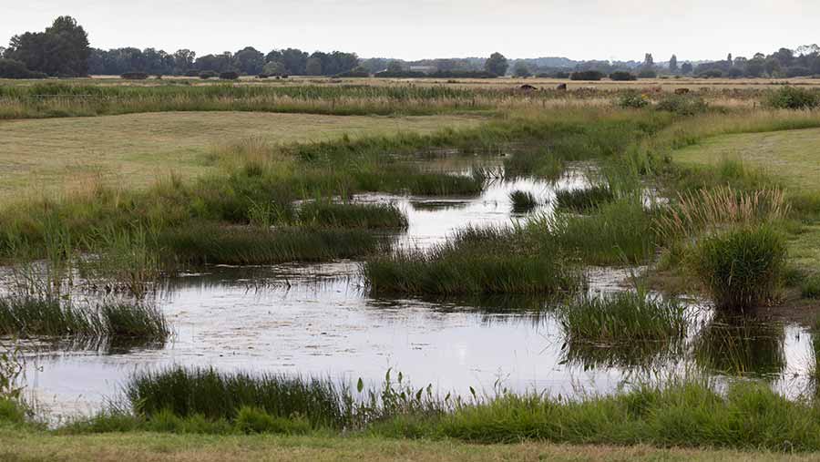 Any farmland turned into wetlands under future schemes could become liable for IHT at 40% if it does not attract APR © Tim Scrivener