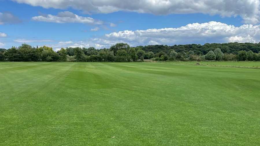 The field as it looked when it was producing turf