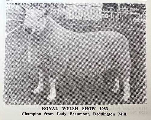 First Royal Welsh Northie champion owned by Lady Beaumont