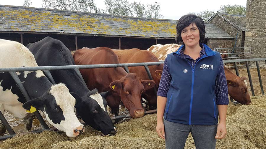 Woman in front of dairy cows