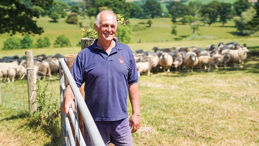 Alan Derryman stood by farm fence in a field of sheep