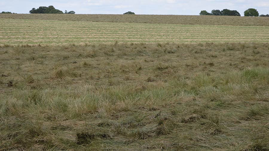 Blackgrass control in herbage seed
