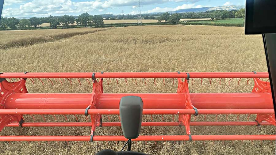 The view of oilseed rape harvest from Richard's cab © Richard Payne