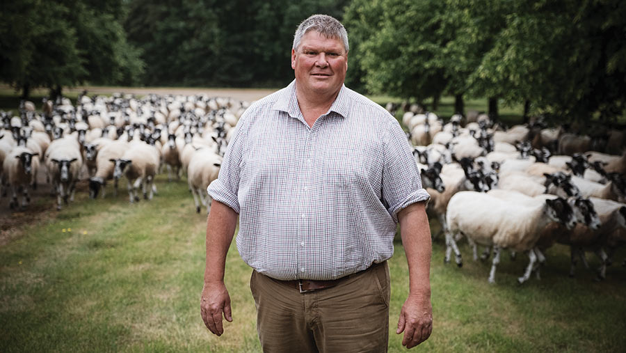 Dan Phipps stood in a field of sheep