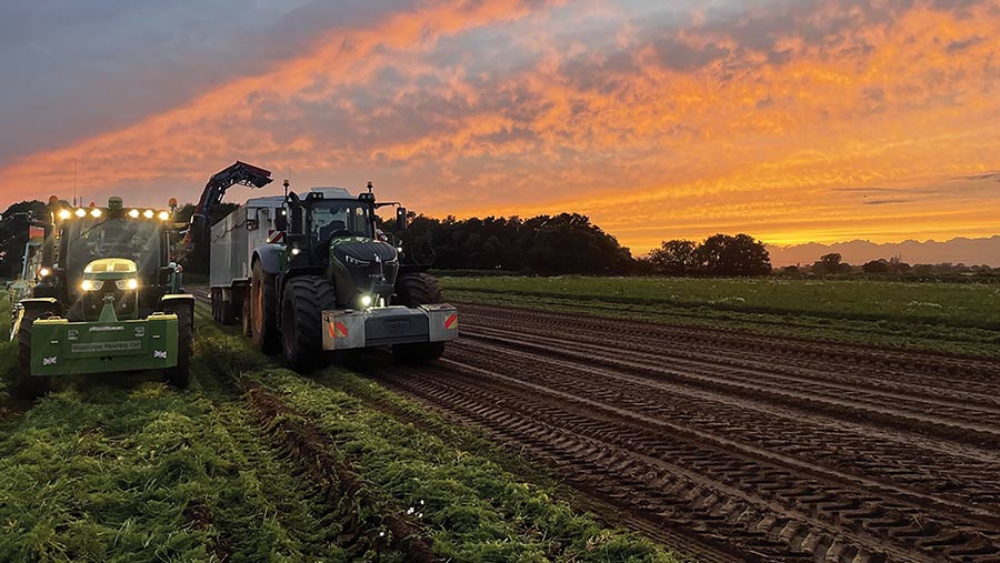 Harvest