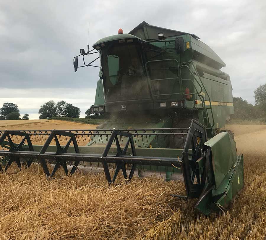 Combine harvester in action