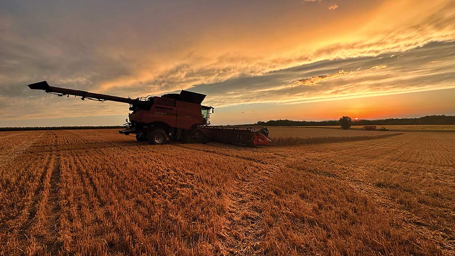 Lincolnshire harvest