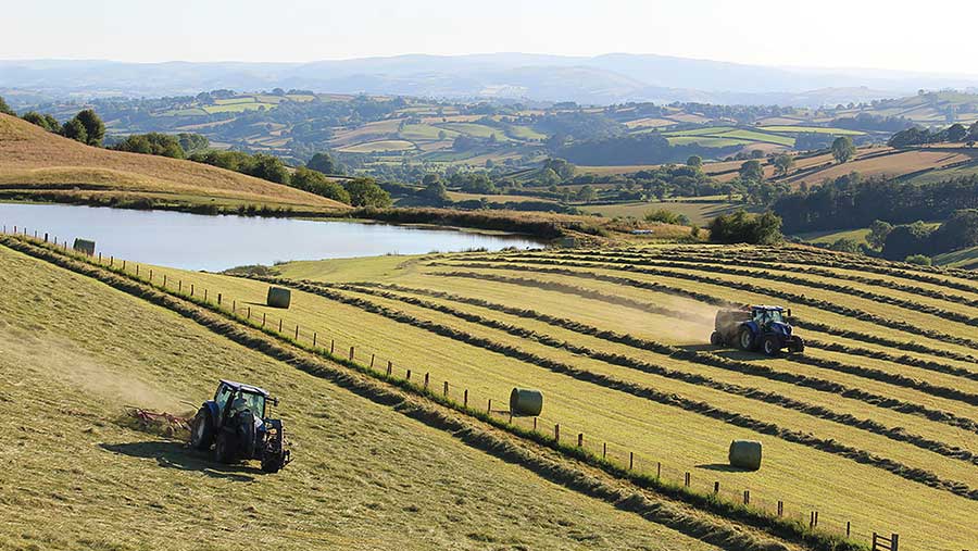 Aerial view of harvest