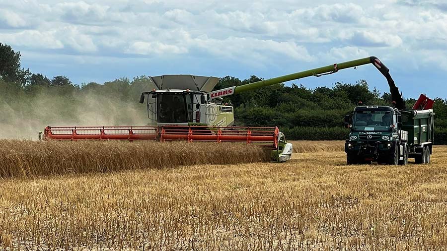 James Peck's 2023 oilseed rape harvest © James Peck