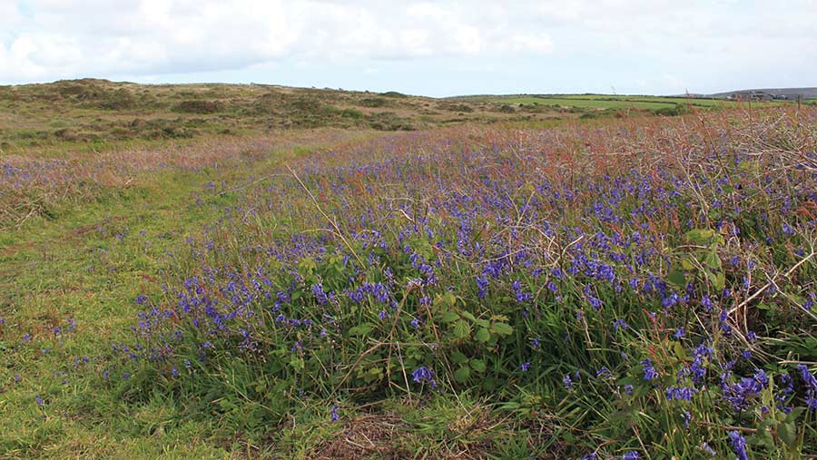 Penwith Moors © Cornish Lad/Alamy Stock Photo