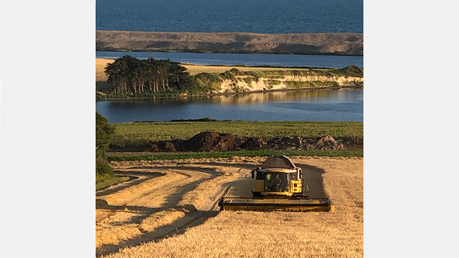 Cutting winter barley on July 6th with the fleet and Chesil bank as the backdrop