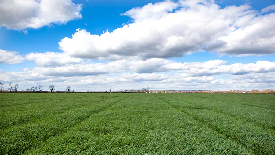 Field with cloudy sky above.