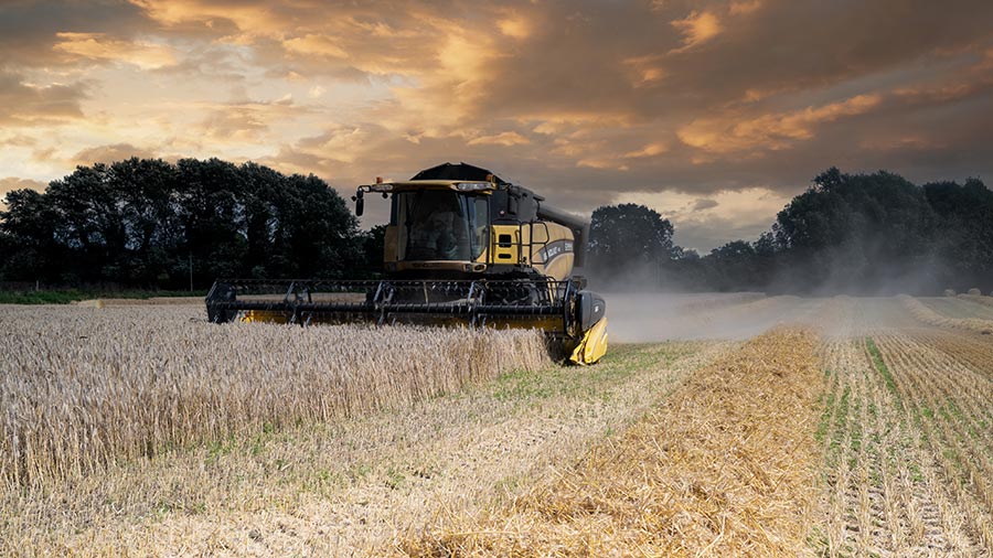 Barley harvest Hopton,  Suffolk © Lawrence Halls (Harvest 2023 photo gallery) 